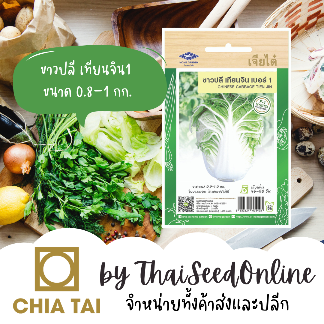 CTF1 เมล็ดพันธุ์ ผักกาดขาวปลี เทียนจิน ตราเจียไต๋ Chinese Cabbage กาดขาว