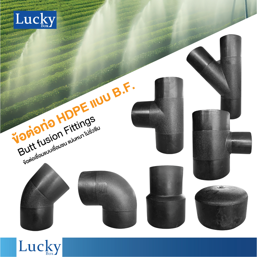 ข้อต่อ HDPE BF ตัวอุด แบบเชื่อมชน Butt Fusion