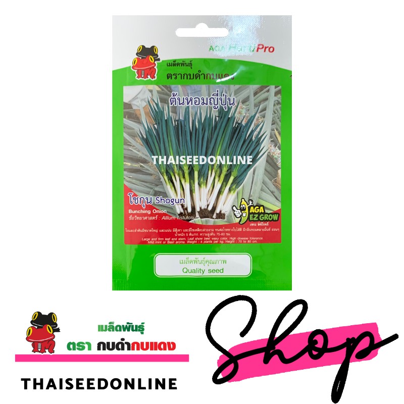 เมล็ดพันธุ์ ซฟ หอมแบ่งญี่ปุ่น ตรากบดำกบแดง Leek