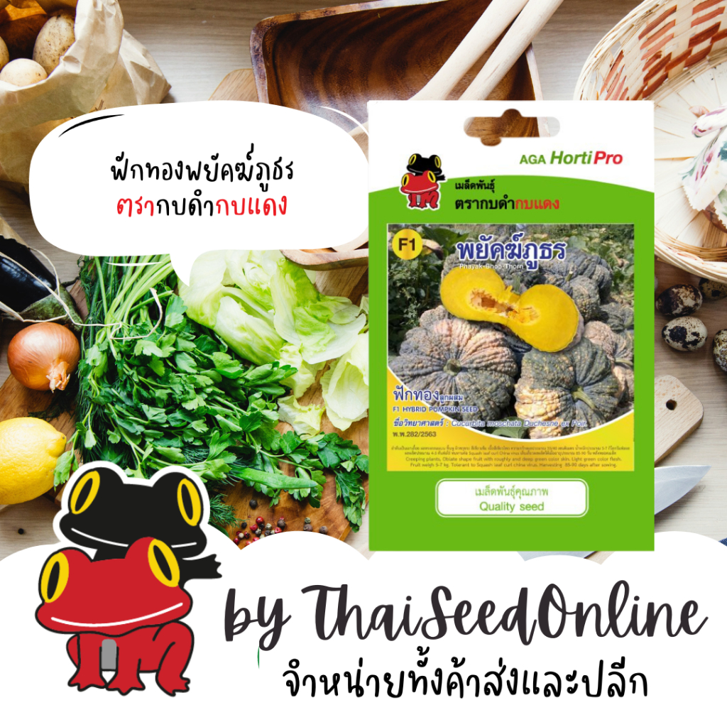 AGA Horti Pro(เอกะฮอร์ติโปร) ซฟ เมล็ดพันธุ์ ฟักทอง พยัคฆ์ภูธร ตรากบดำกบแดง Pumpkin