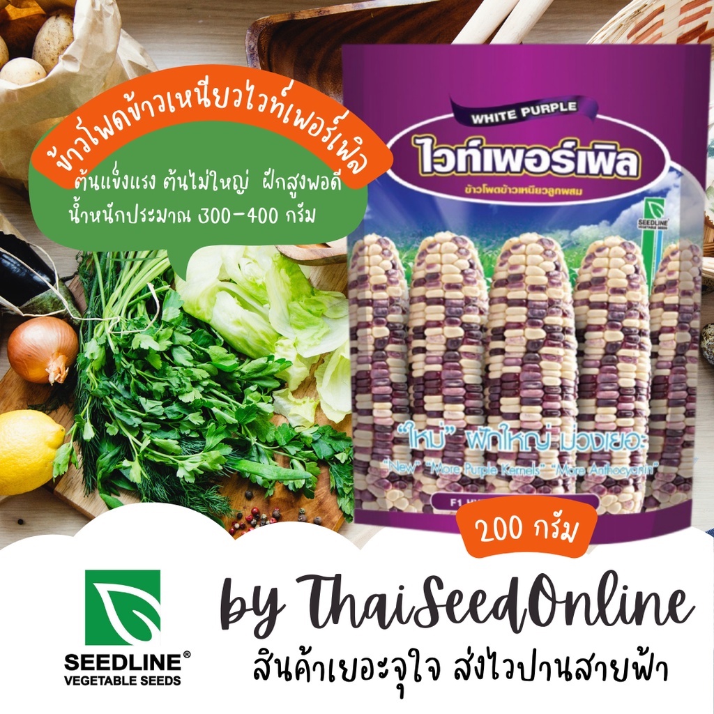 200 กรัม เมล็ดพันธุ์ ใหม่ล่าสุด ผักใหญ่ ม่วงเยอะ😍 ข้าวโพดข้าวเหนียวหวาน ไวท์เพอเพิล 200 กรัม ตราซีดไลน์ Corn