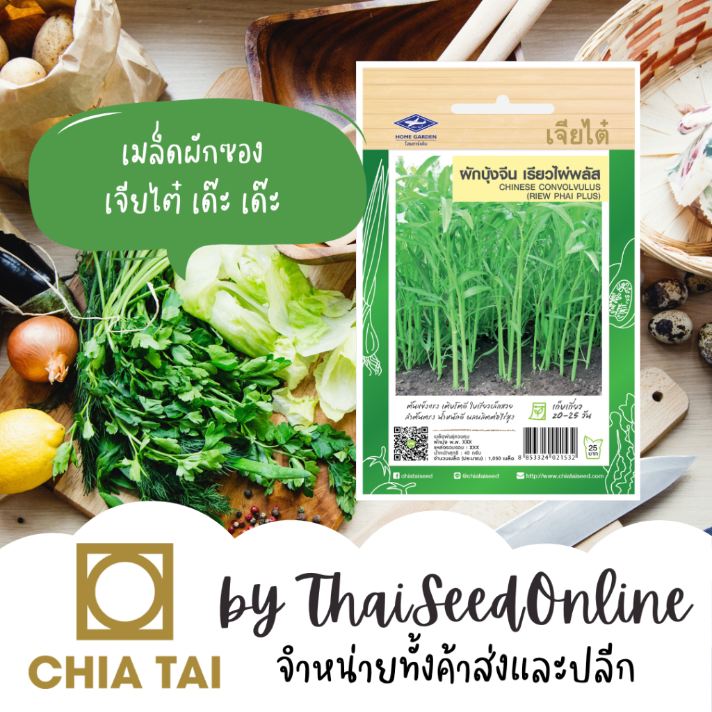 Chia Tai(เจียไต๋) CTF1 เมล็ดพันธุ์ ผักบุ้ง เรียวไผ่พลัส ประมาณ 1040 เมล็ด ตราเจียไต๋ Morning Glory