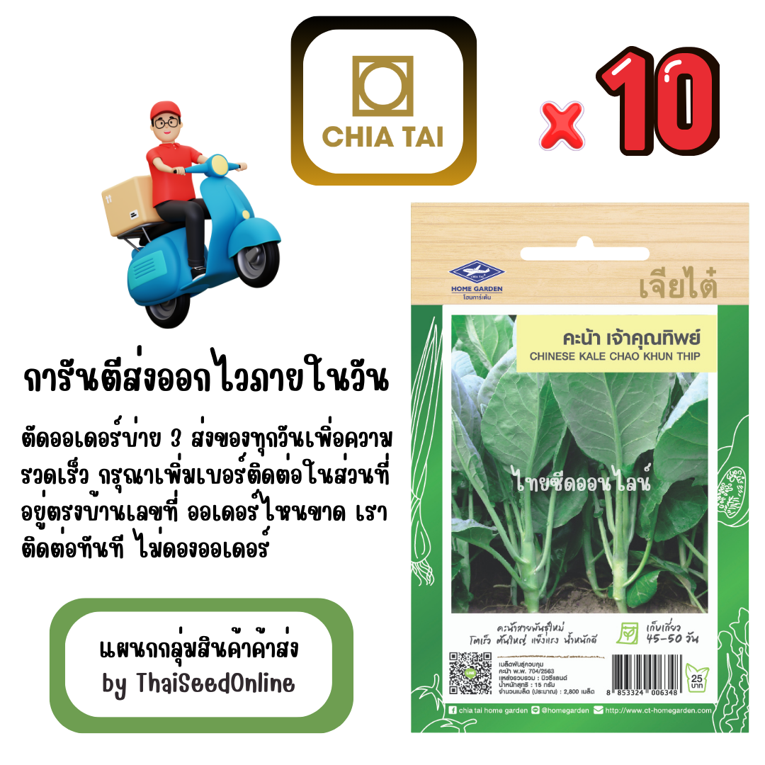 CTF1 x 10 เมล็ดผักซองเจียไต๋ คะน้ายอด เจ้าคุณทิพย์ สินค้ายกแพ็ค