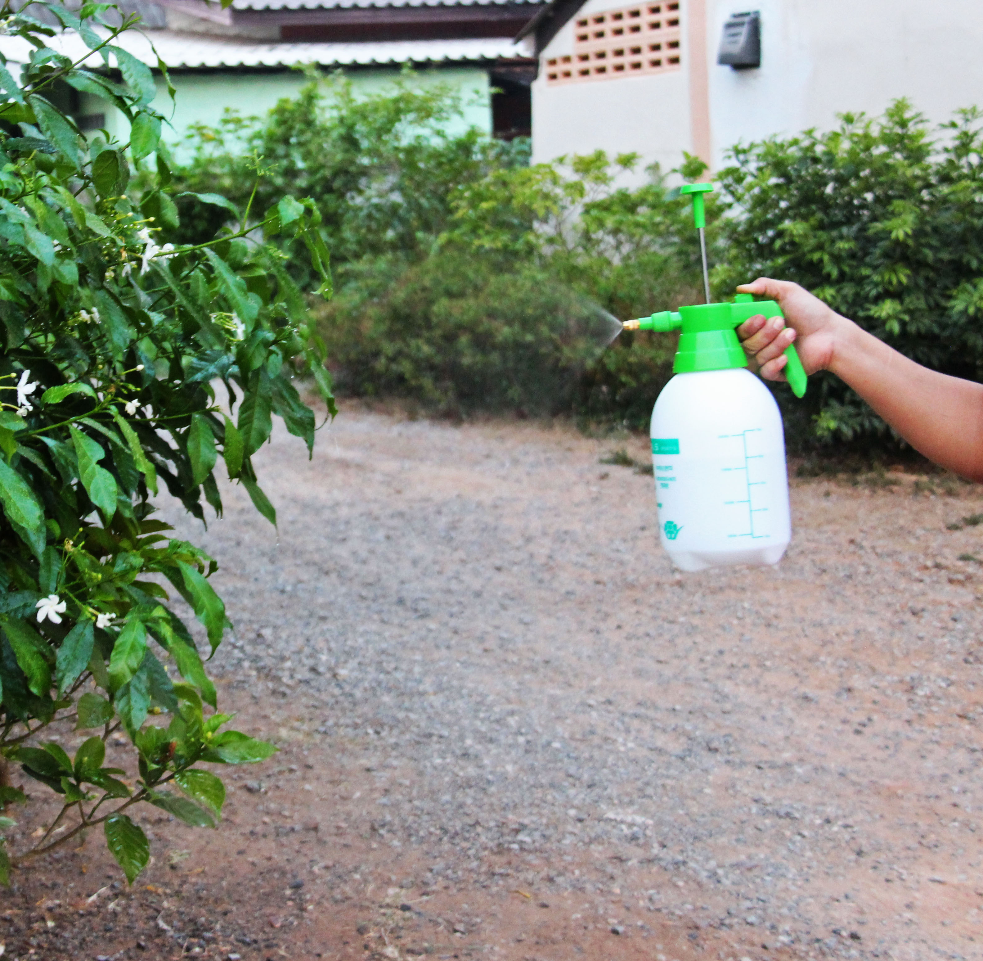 สเปรย์ foggy กระบอกฉีดน้ำแรงดัน Hand Pressure Foggy กระบอกฉีดน้ำยา ฟ็อกกี้ ขนาด 2 ลิตร