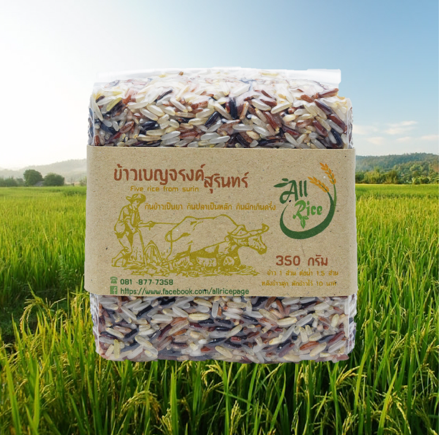 ข้าวเบญจรงค์ 350 กรัม