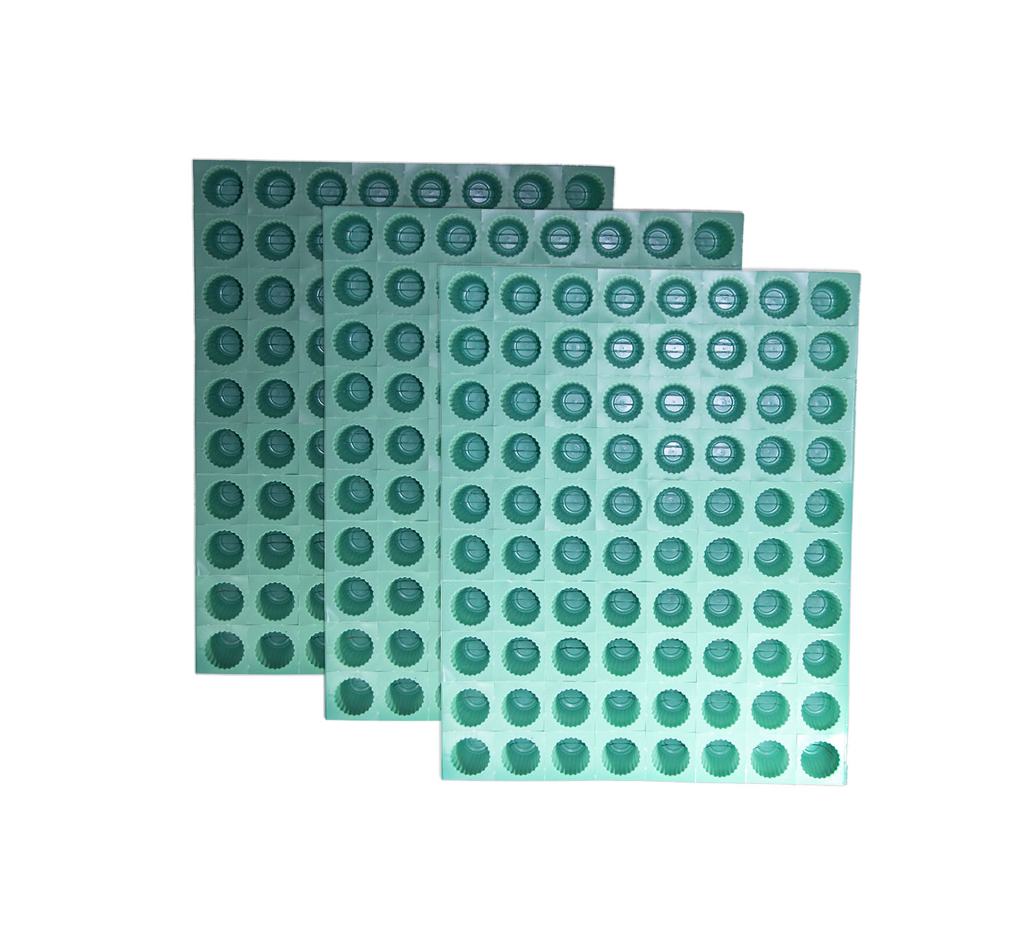 ถาดเพาะไฮโดรโปนิกส์ ถาดเพาะชำ ถาดเพาะกล้าสีเขียว 80 หลุม