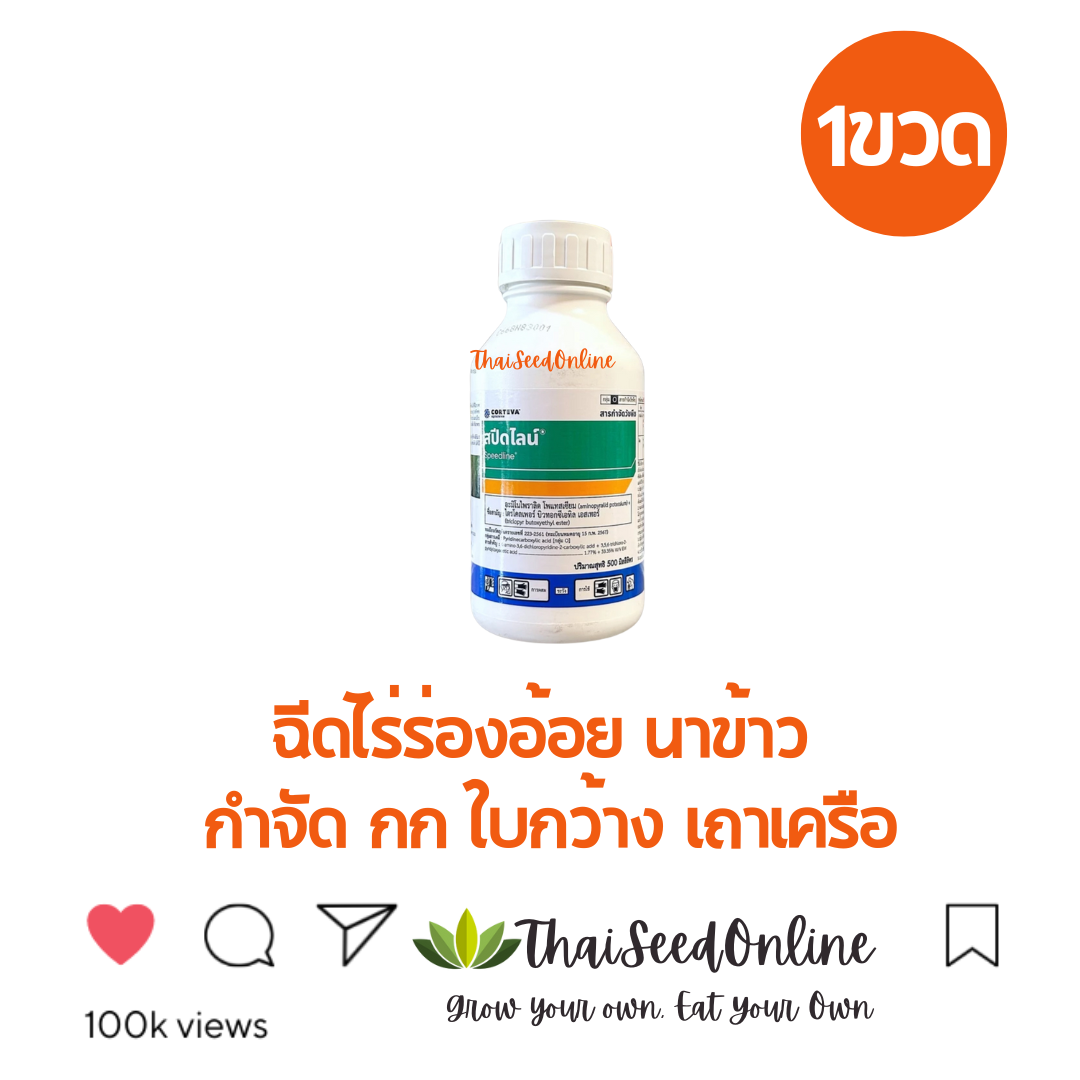 BAKA ของแท้ ขนาด 500ซีซี สารกำจัดวัชพืช สปีดไลน์ อะมีโนไพราลิค+ไตรโคลเพอร์ บิวทอกซีเอทิว เอสเทอร์ 1.77% + 33.35% EW กำจัดวัชพืชใบกว้าง