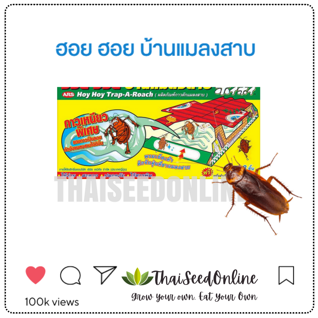 ARS 🔥รุ่นใหม่ ดักจิ้งจกได้ด้วย🔥ขายดีอันดับ1✅ ARS อาท ✅ ฮอยฮอย กับดักแมลงสาบ