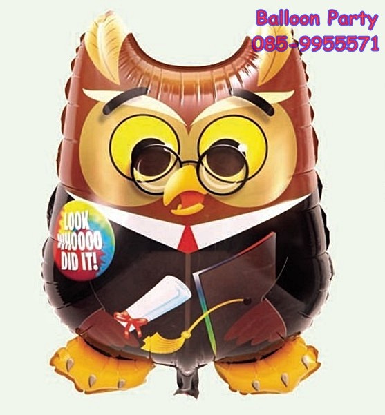 ลูกโป่งนกฮูกรับปริญญา LOOK WHOO DID IT Owl Congrats Foil Balloon