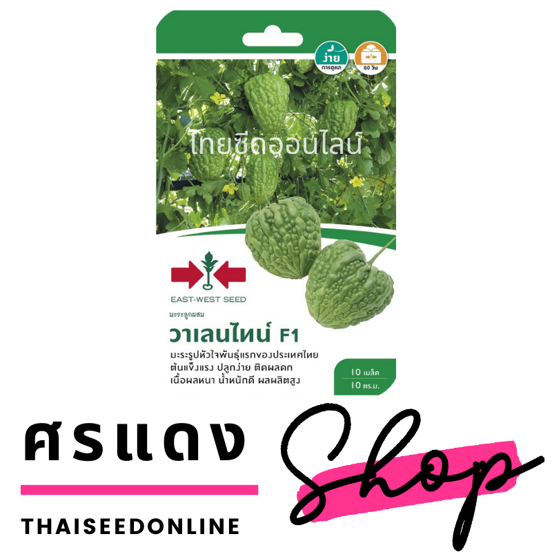 GGEW เมล็ดพันธุ์ซฟ มะระ มะระจีนลูกผสม วาเลนไทน์ 10 เมล็ด ตราศรแดง มะระ Bitter Gourd