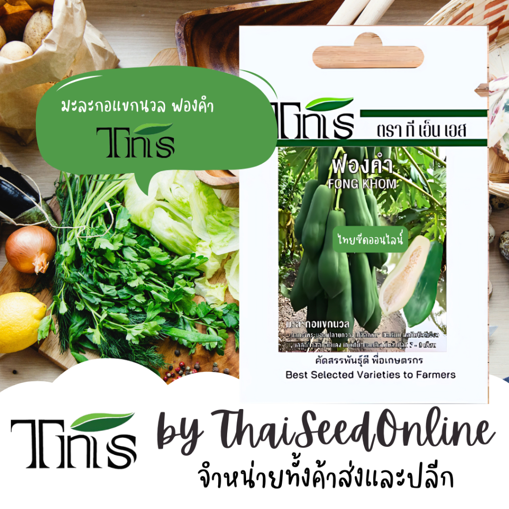 TNS(ทีเอ็นเอส) TNS(ทีเอ็นเอส) TNS เมล็ดพันธุ์แบบซองเล็ก มะละกอ แขกนวล ฟองคำ ตรา ที เอ็น เอส มะละกอแขกนวล