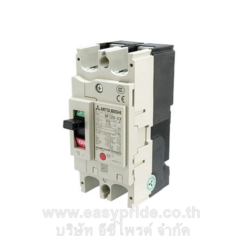 NF125 CV 2P 63A