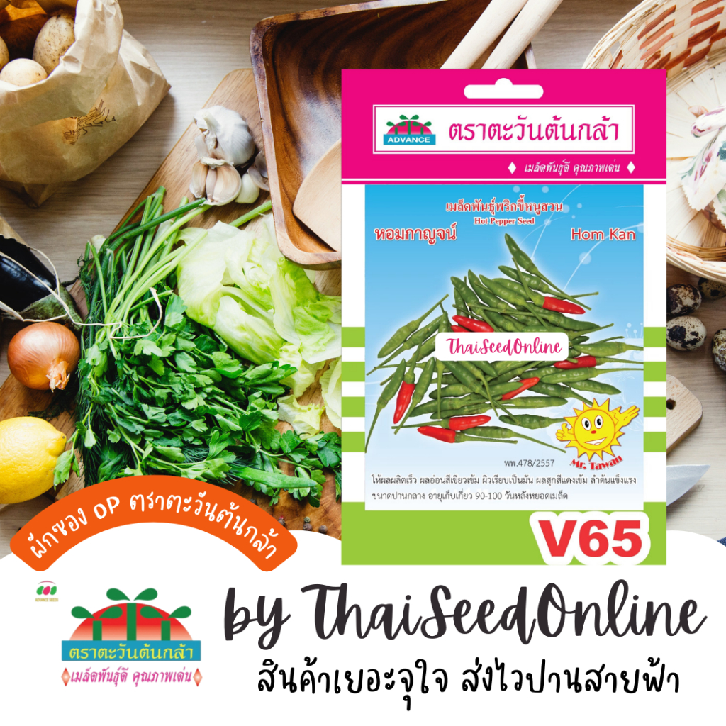 Advance Seeds(ตราตะวันต้นกล้า) ADVOP ซฟ เมล็ดพันธุ์ พริกขี้หนูสวน หอมกาญจน์ ประมาณ 180 เมล็ด ตราตะวันต้นกล้า V65