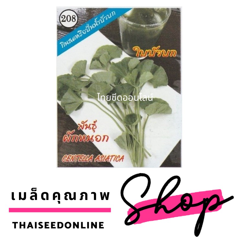 333(ตองสาม) เมล็ดพันธุ์ ใบบัวบก ผักหนอก ตราตองสาม（333）สามเอ (AAA）