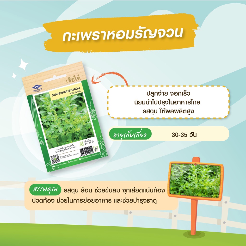 CTF1 เมล็ดพันธุ์ กะเพราหอมรัญจวน 4000เมล็ด ตราเจียไต๋ Holy Basil