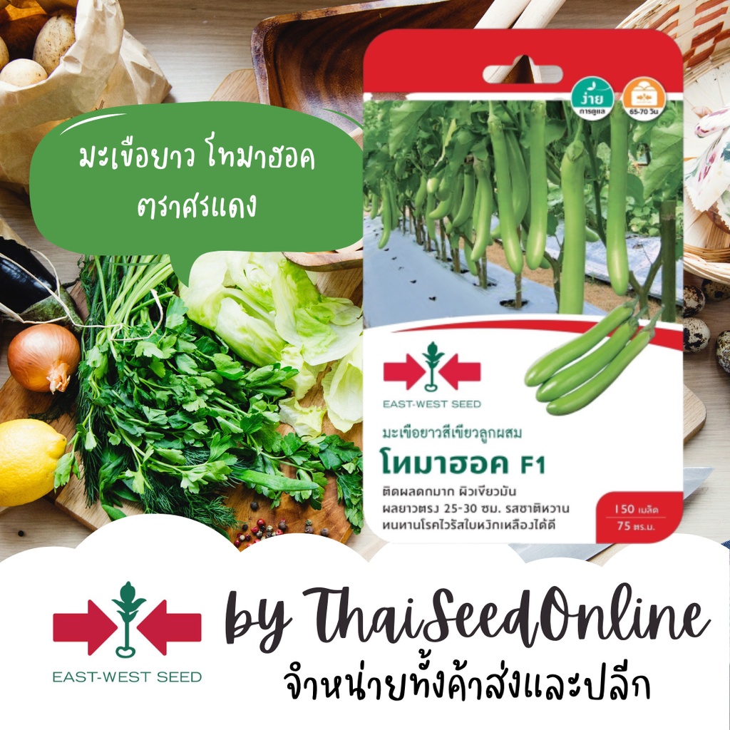 GGEW เมล็ดพันธุ์ มะเขือยาวสีเขียวลูกผสม โทมาฮอค F1 ตราศรแดง 150 เมล็ด ตราศรแดง Long Green Eggplant