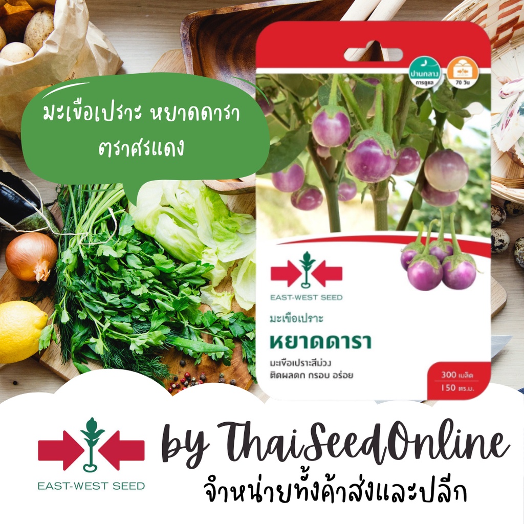 GGEW เมล็ดพันธุ์ซฟ มะเขือเปราะม่วงหยาดดารา 300เมล็ด ตราศรแดง