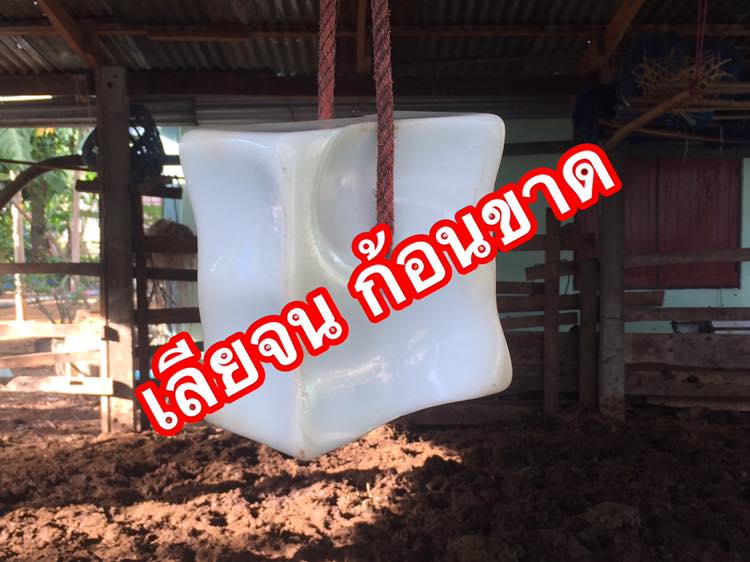 5 กก ก้อนเกลือแร่ KNZ เกลือแร่วัว เกลือแร่ก้อน นำเข้าจากประเทศเนเธอร์แลนด์ ก้อนแน่นเลียไม่แตก ใช้ได้นาน