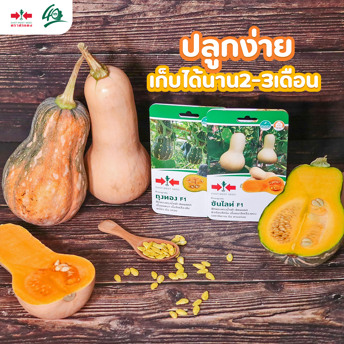 GGEW เมล็ดพันธุ์ซฟ ฟักทอง บัตเตอร์นัท ซันไลท์ 10 เมล็ด ตราศรแดง