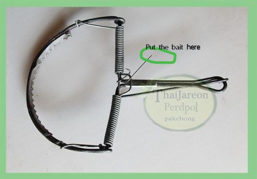 กับดักหนู กับดักหนูฟ้าผ่า กับเสือ กับลาว กับวงกลม สามแบบให้เลือก