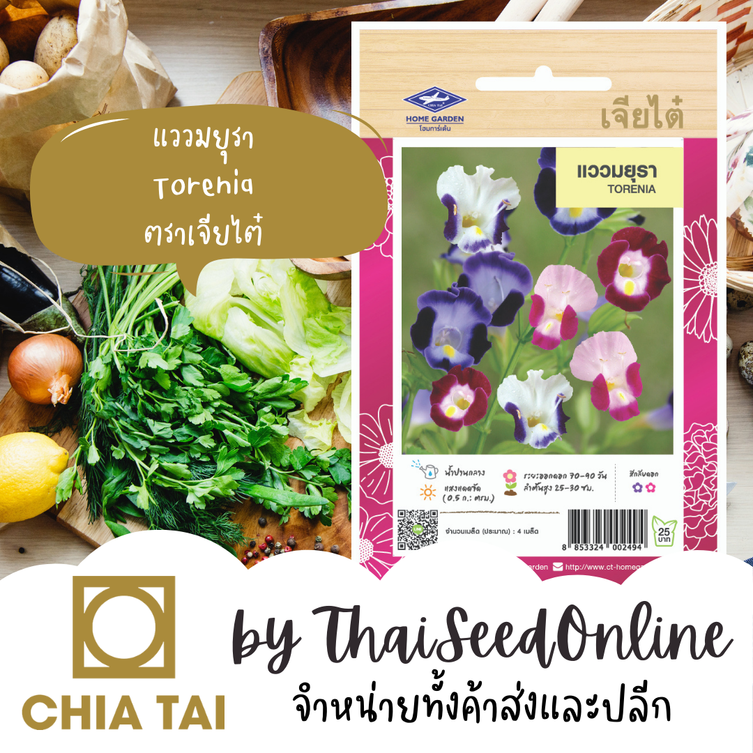 CTFW เมล็ดพันธุ์ แววมยุรา ตราเจียไต๋ เมล็ดดอกไม้ เมล็ดพันธุ์ดอกไม้ Torenia