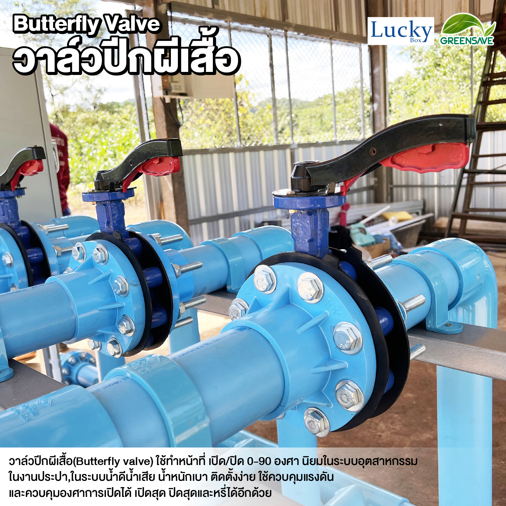 Butterfly Valve วาล์วปีกผีเสื้อ ขนาด 8 นิ้ว