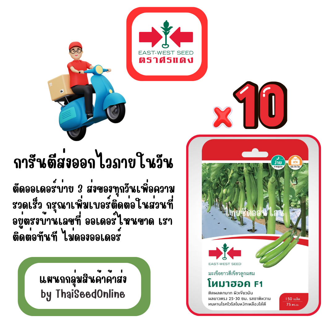 GGx10 เมล็ดผักซองศรแดง โทมาฮอค มะเขือยาว สินค้ายกแพ็ค