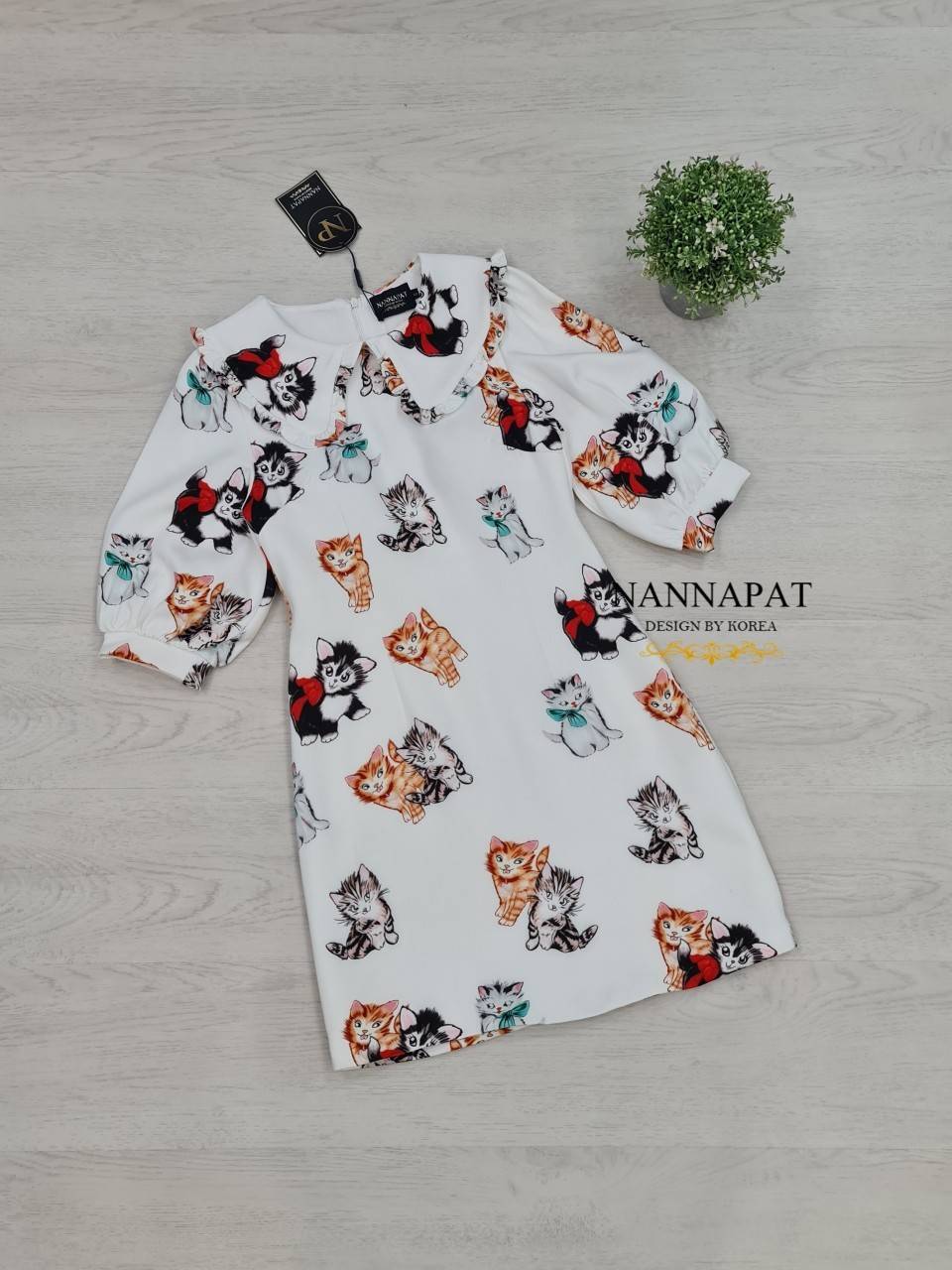 งานซิปหลัง ปกคอน่ารัก