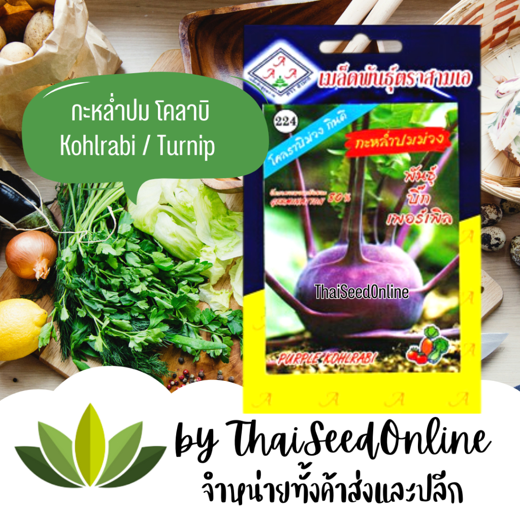 3A(สามเอ) 3A เมล็ดพันธุ์ โคราบิ โกราบี้ สีม่วง ตราสามเอ Purple Kohlrabi กะหล่ำปม โกลาบี้ กะหล่ำปม ตราสามเอ Kohlrabi or Turnip Cabbage