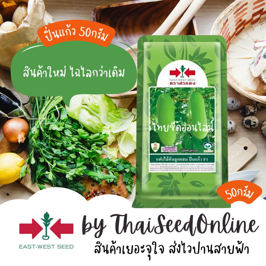 Sorndang(ศรแดง) EWCOM เมล็ดพันธุ์ แฟง ปิ่นแก้ว 50 กรัม ตราศรแดง