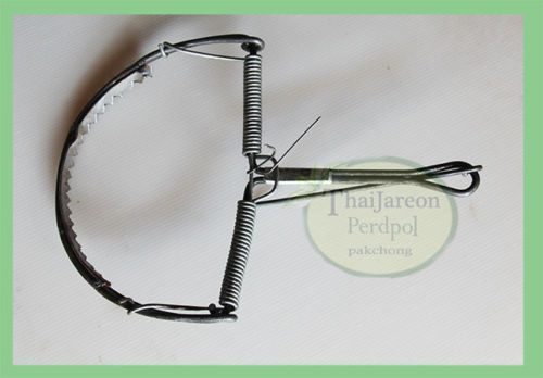 กับดักหนู กับดักหนูฟ้าผ่า กับเสือ กับลาว กับวงกลม สามแบบให้เลือก