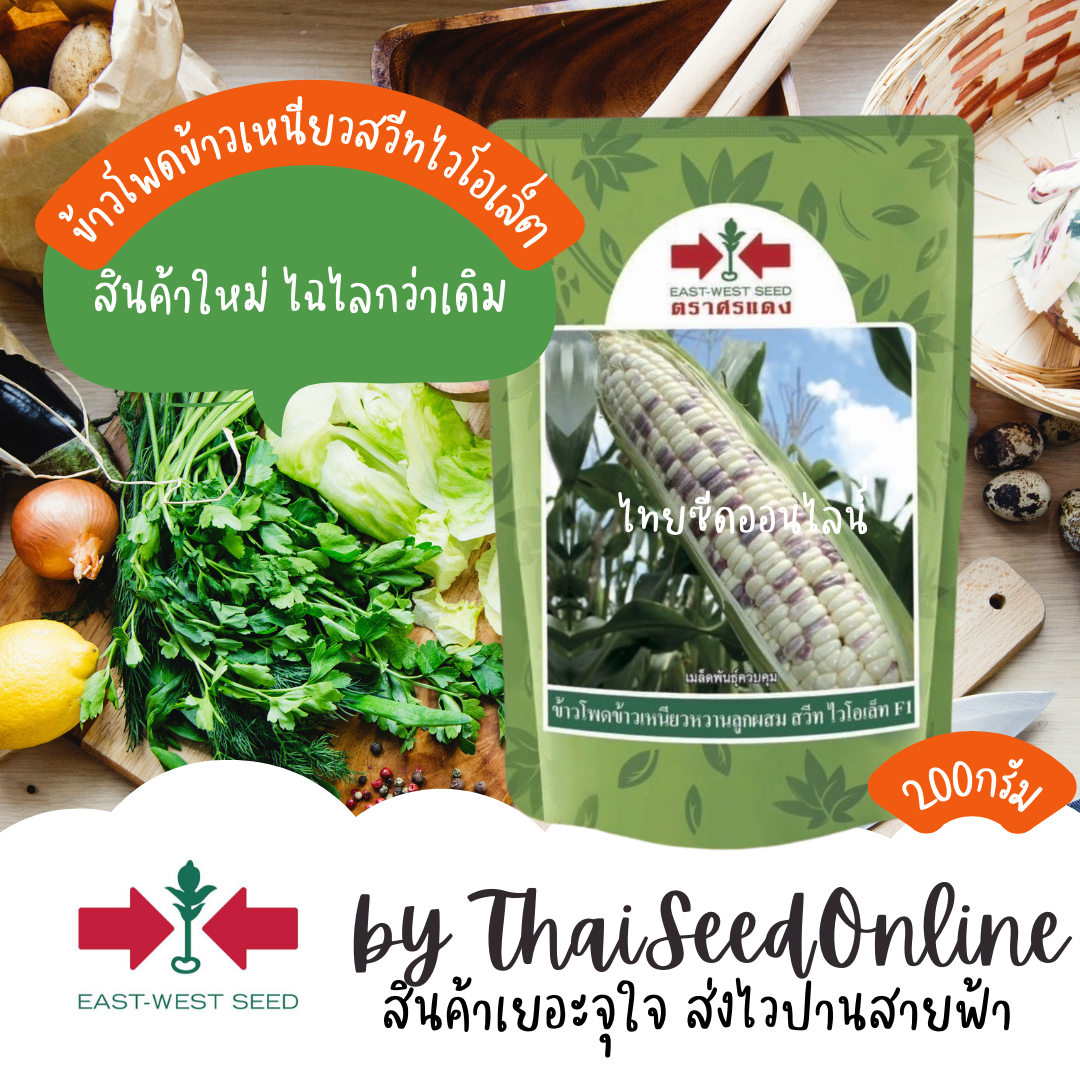 EWCOM 200 กรัม เมล็ดพันธุ์ ข้าวโพดลูกผสม ข้าวเหนียวหวานลูกผสม สวีทไวโอเล็ต 200 กรัม ตราศรแดง Corn