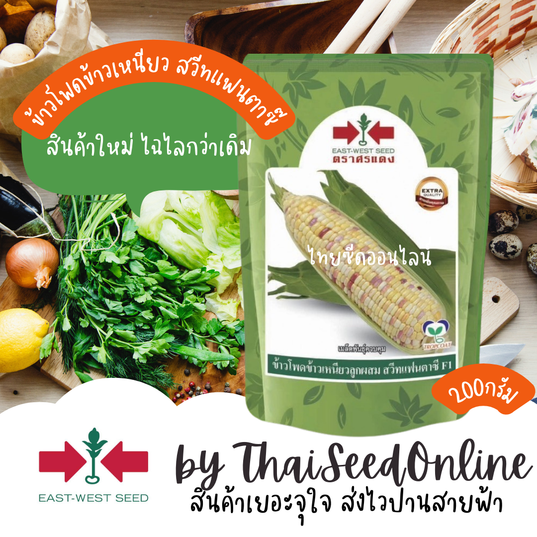 EWCOM 200กรัม 🔥ใหม่🔥เมล็ดพันธุ์ข้าวโพดข้าวเหนียวหวาน สวีทแฟนตาซี 200 กรัม ตราศรแดง