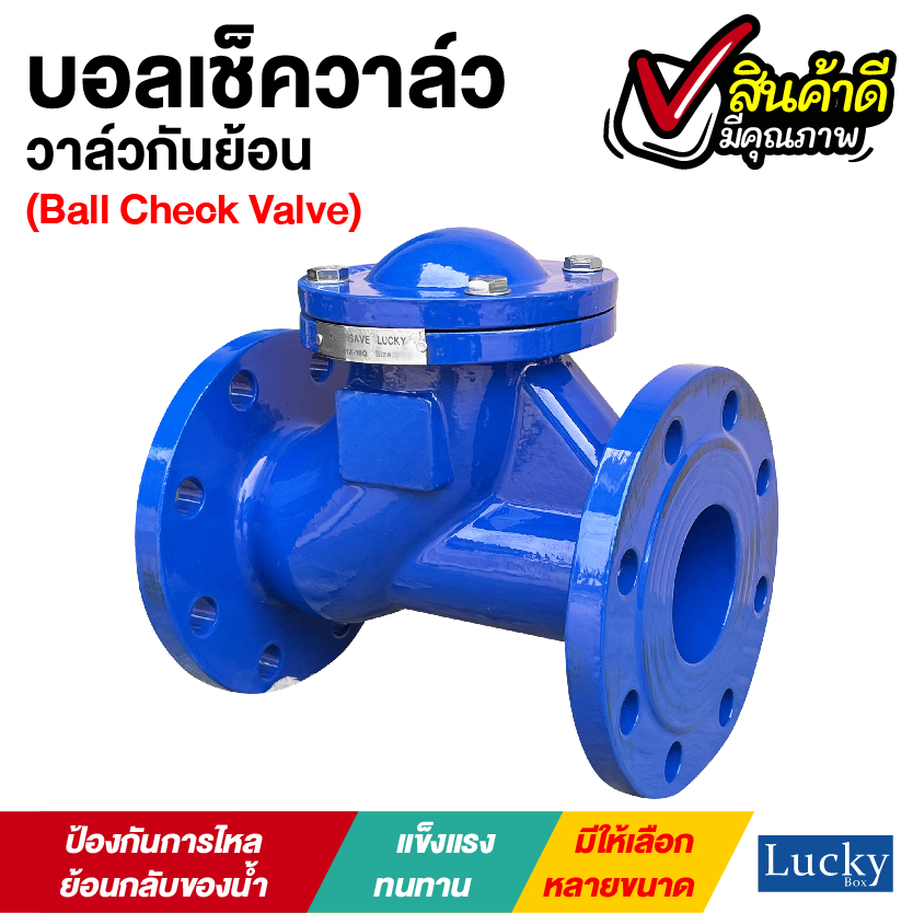 Ball Check Valve บอลเช็ควาล์ว มีหน้าแปลน ขนาด 4 นิ้ว