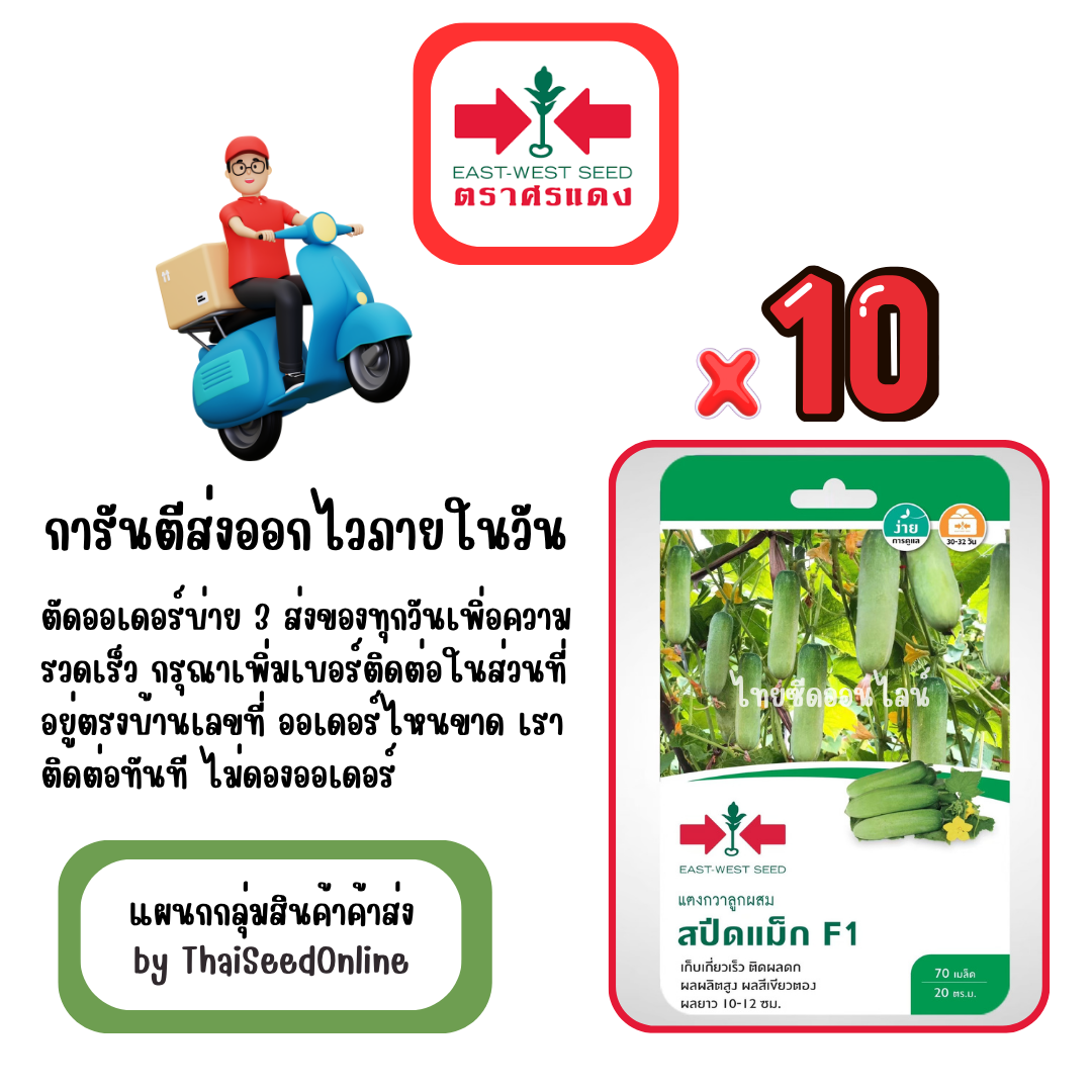 GGx10 เมล็ดผักซองศรแดง สปีดแม็ก แตงกวา สินค้ายกแพ็ค