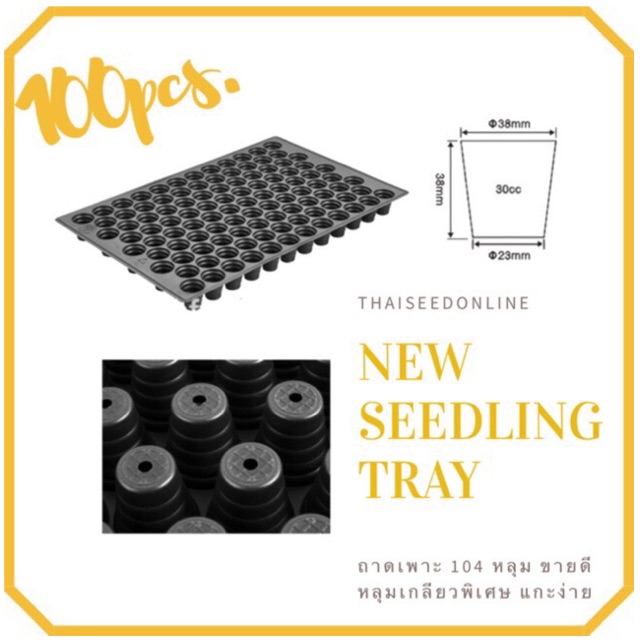 🌱ส่งฟรี! ถาดเพาะ รุ่นพิเศษ -ถาดเพาะกล้า 104 หลุม จำนวน 100ถาด ถ้วยเกลียว ไม่มีขอบ