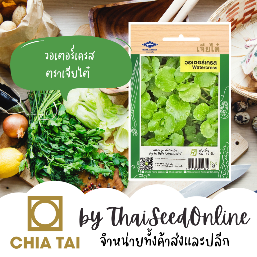 Chia Tai(เจียไต๋) CTF1 เมล็ดพันธุ์ วอเตอร์เครส 500เมล็ด ตราเจียไต๋ Wartercress