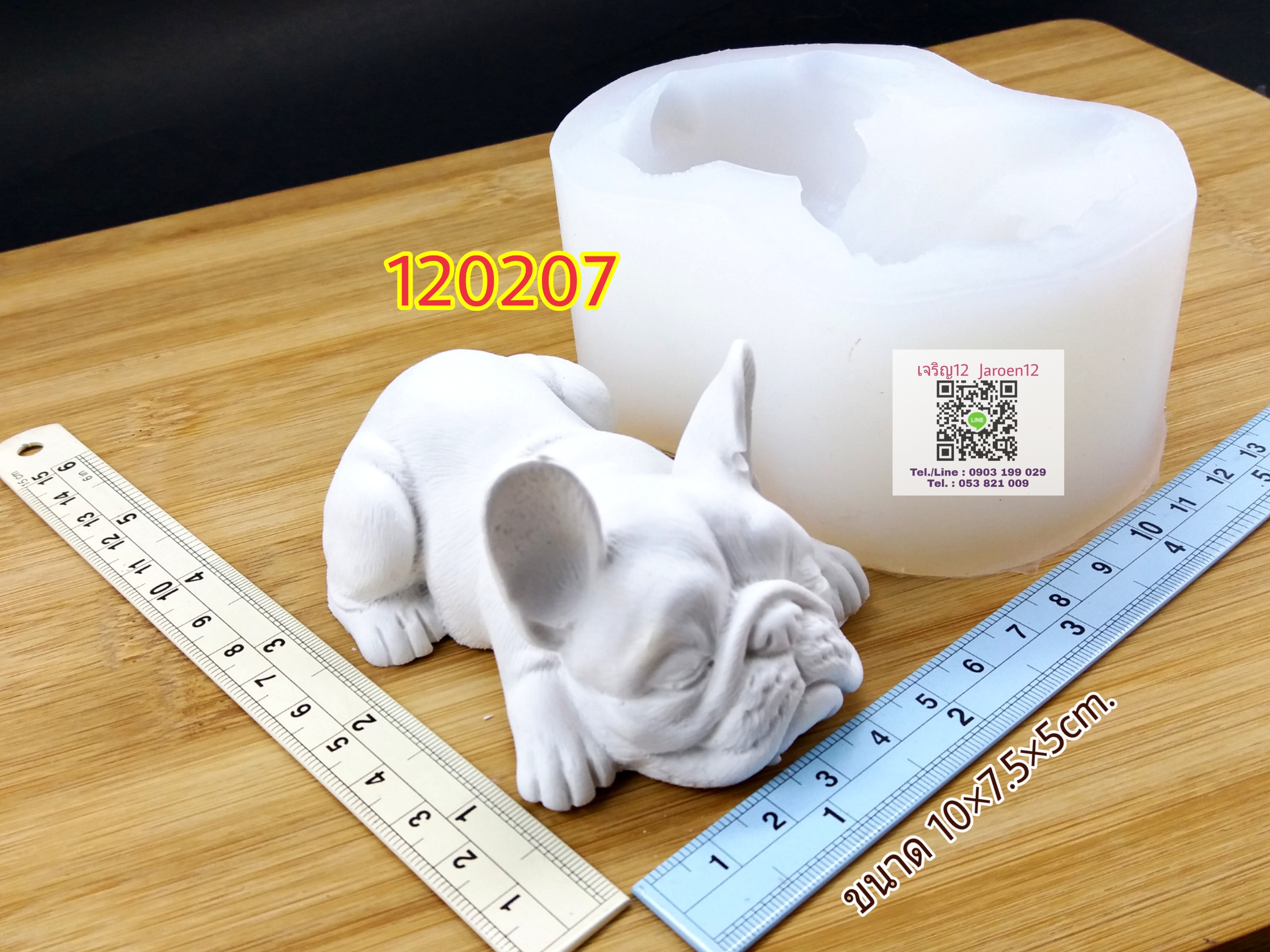 โมล บูลด๊อก สุนัข/หมา หมอบหูตั้ง