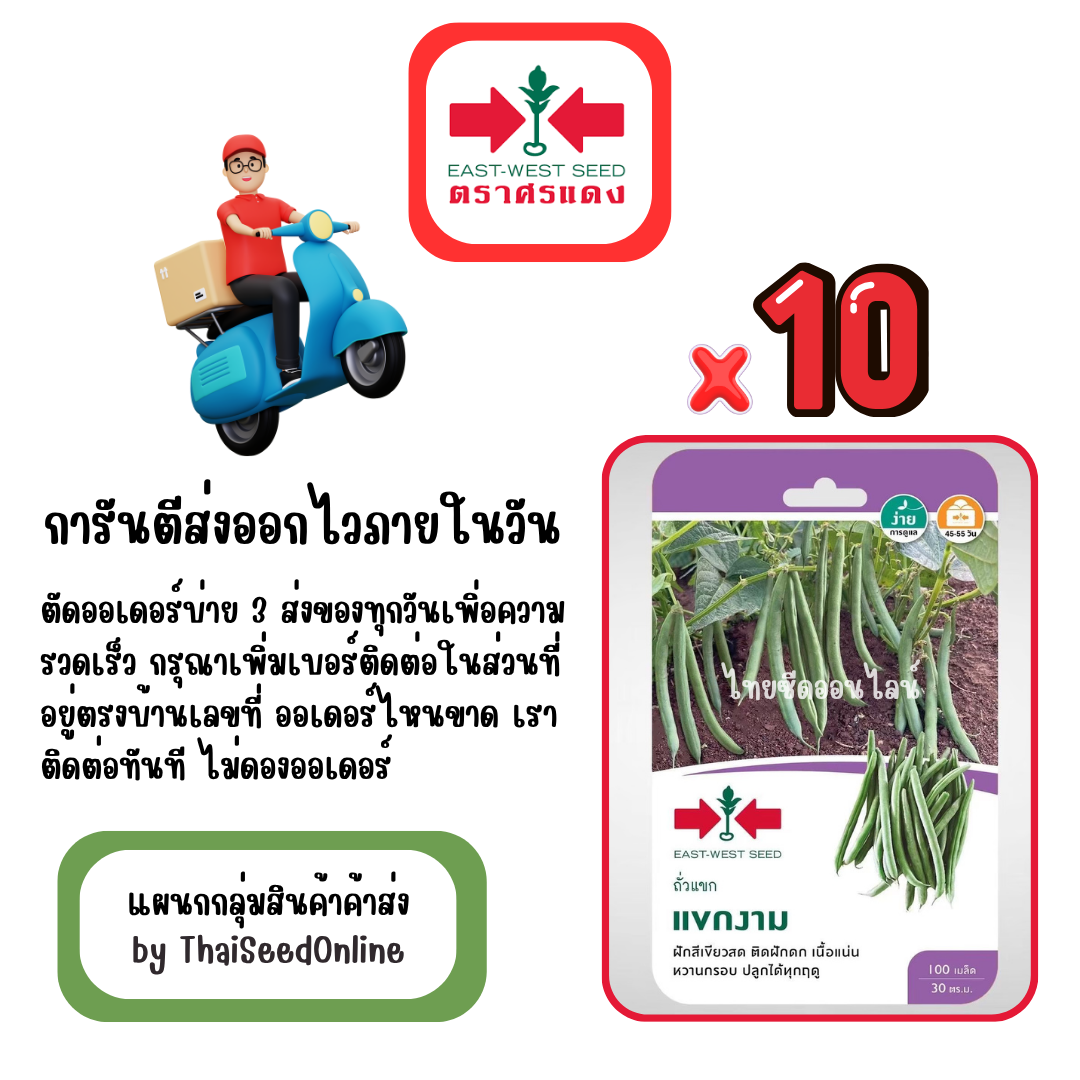 GGx10 เมล็ดผักซองศรแดง แขกงาม ถั่วแขก สินค้ายกแพ็ค