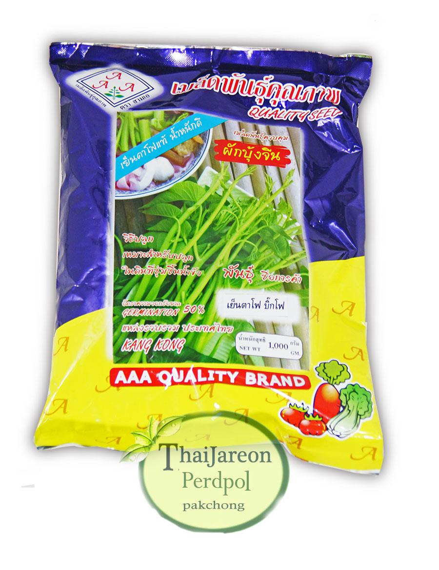 เมล็ดผักบุ้งแก้ว ผักบุ้งเย็นตาโฟ ผักบุ้งบ้องใหญ่ 1 กก ตรา AAA มีแบ่งขาย