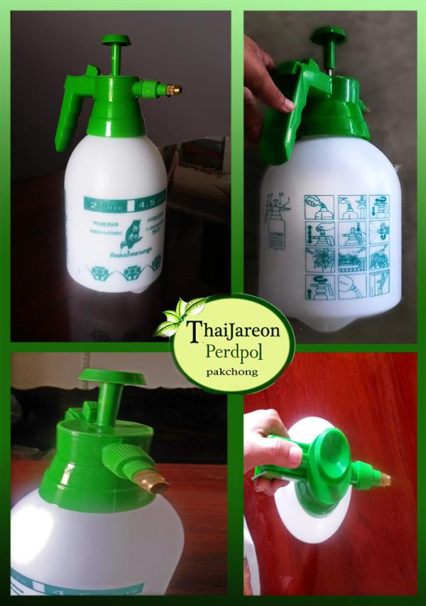 สเปรย์ foggy กระบอกฉีดน้ำแรงดัน Hand Pressure Foggy กระบอกฉีดน้ำยา ฟ็อกกี้ ขนาด 2 ลิตร