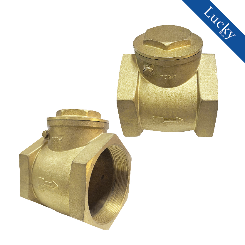 Check Valve เช็ควาล์ว ทองเหลือง แบบบานสวิงแนวนอน ขนาด 1-1/4 นิ้ว