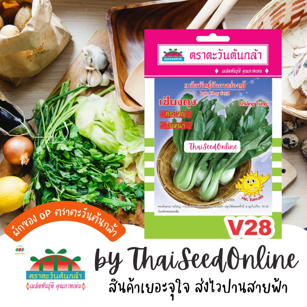 Advance Seeds(ตราตะวันต้นกล้า) ADVOP ซฟ เมล็ดพันธุ์ กวางตุ้งฮ่องเต้ เชียงตุง ประมาณ 300 เมล็ด ตราตะวันต้นกล้า V28