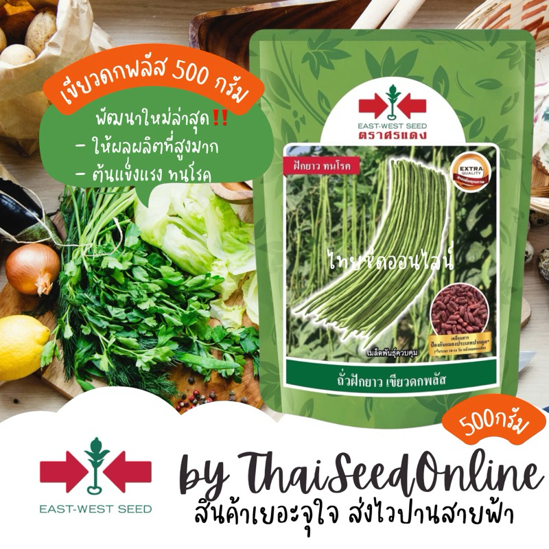 Sorndang(ศรแดง) EWCOM ถั่วฝักยาว ปรับปรุงใหม่ จากศรแดง ‼️ เขียวดกพลัส 500 กรัม Yard Long Bean