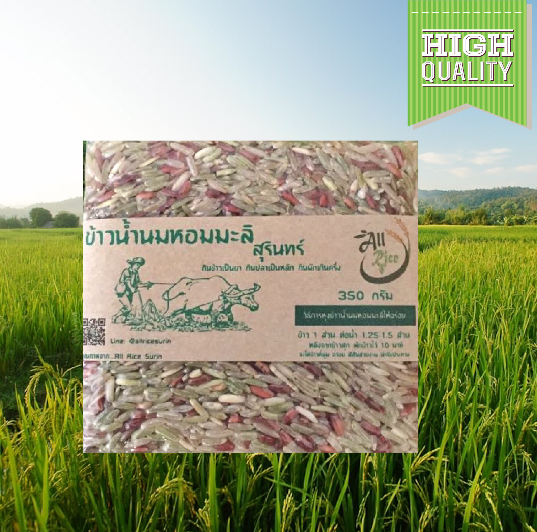 ข้าวน้ำนมหอมมะลิสุรินทร์ ขนาด 350 กรัม