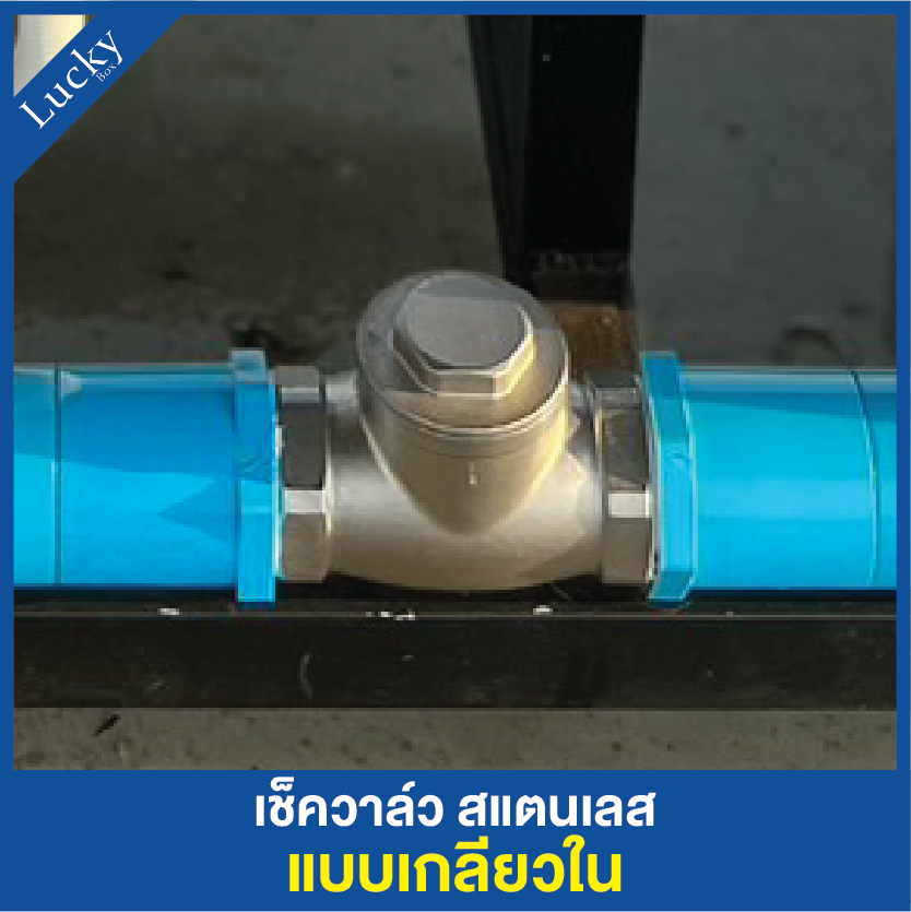 เช็ควาล์วสแตนเลส 304 เแบบเกลียวบานพับแนวนอน ขนาด 2 นิ้ว DN50