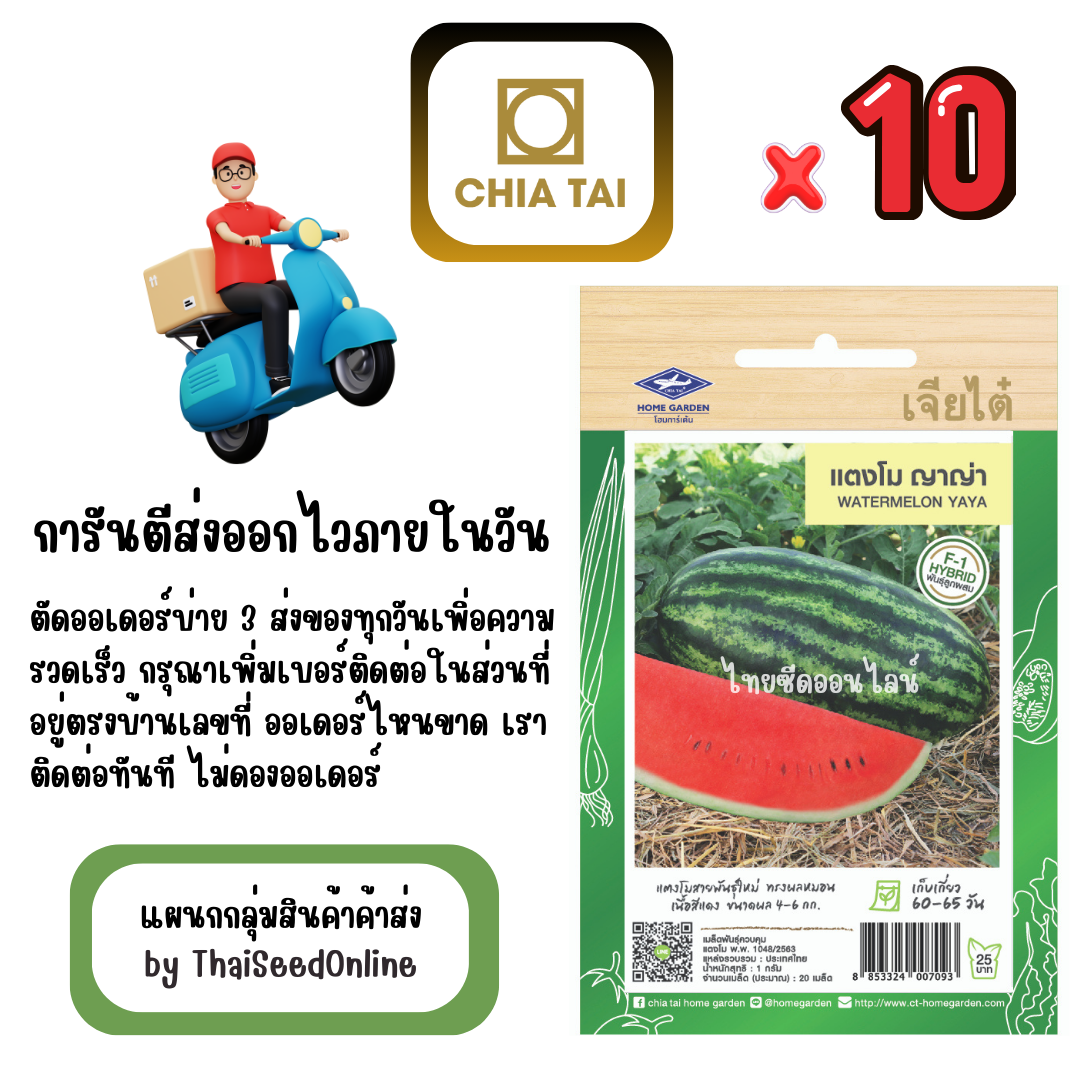 CTF1 x 10 เมล็ดผักซองเจียไต๋ แตงโม ญาญ่า สินค้ายกแพ็ค