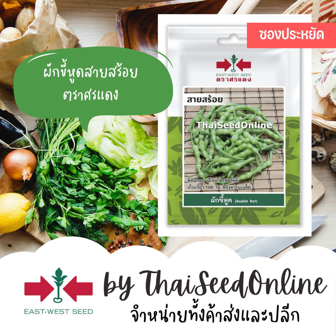 VP3 ซฟ เมล็ดพันธุ์ ผักขี้หูด สายสร้อย ตราศรแดง 100เมล็ด ผักพฤกษ์ Rat-tailed Rape
