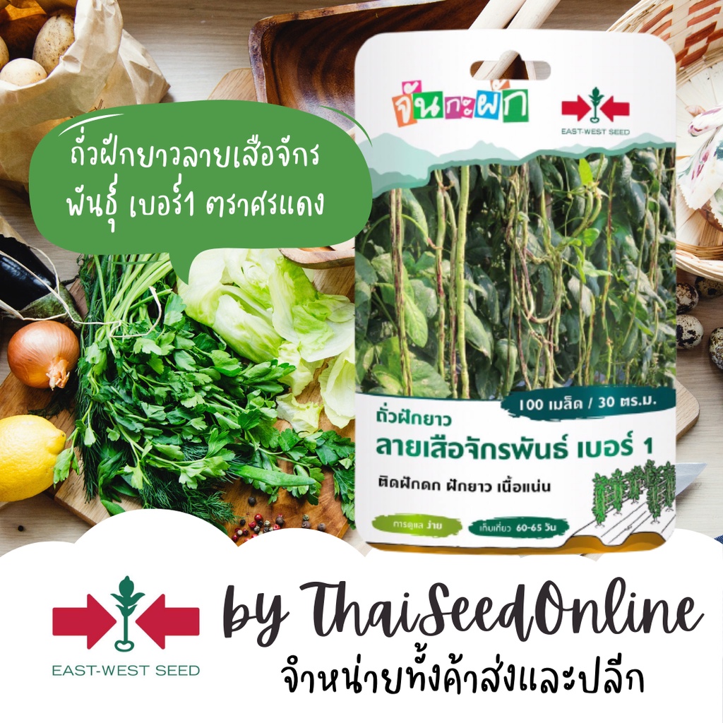 GGEW ถั่วฝักยาวลายเสือจักรพันธุ์เบอร์1 100เมล็ด ตราศรแดง เมล็ดพันธุ์พระราชทาน จันกะผัก Yard Long Bean