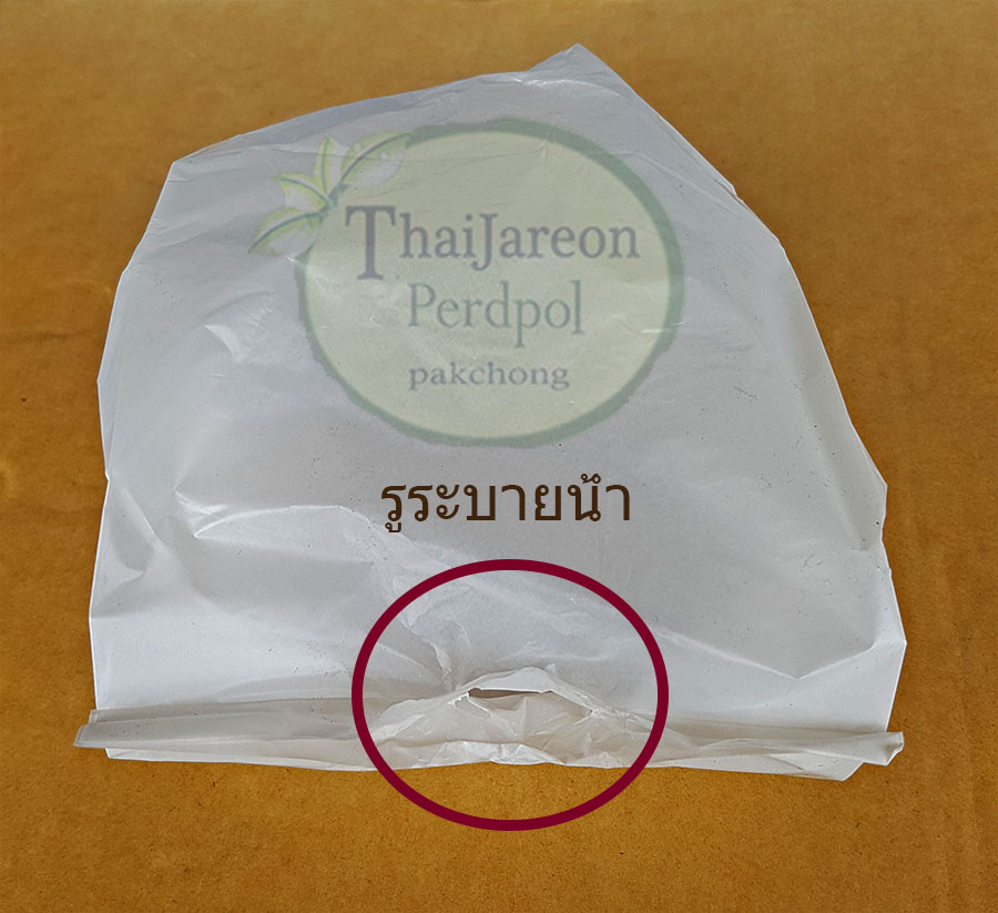 ถุงห่อฝรั่ง ถุงห่อผลไม้ ถุงห่อฝรั่งกิมจู ฝรั่งแป้นสีทอง